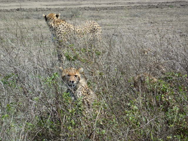 Tanzania