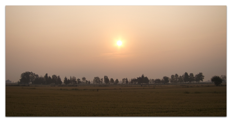 alba
