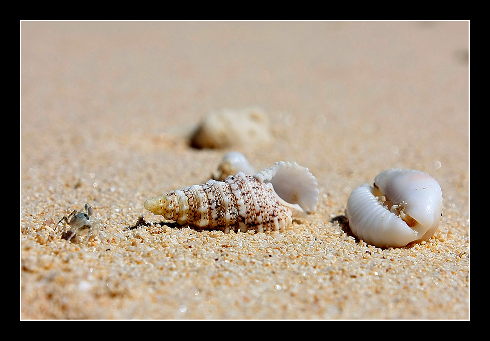 spiaggia 2