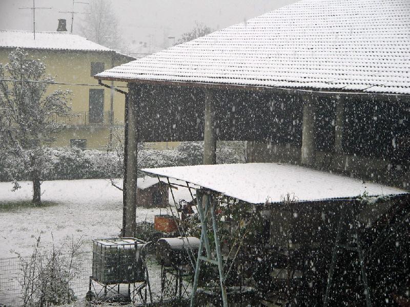 inverno