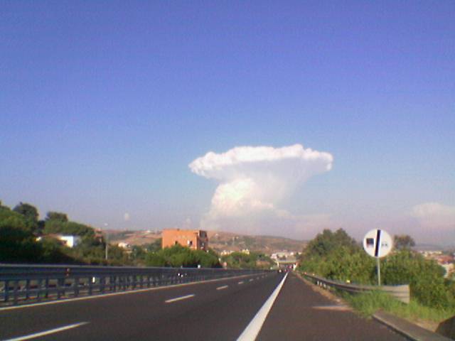 Civitafungo