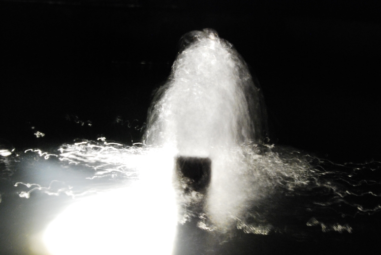Giochi di luce e d'acqua