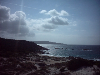 Madda Sole