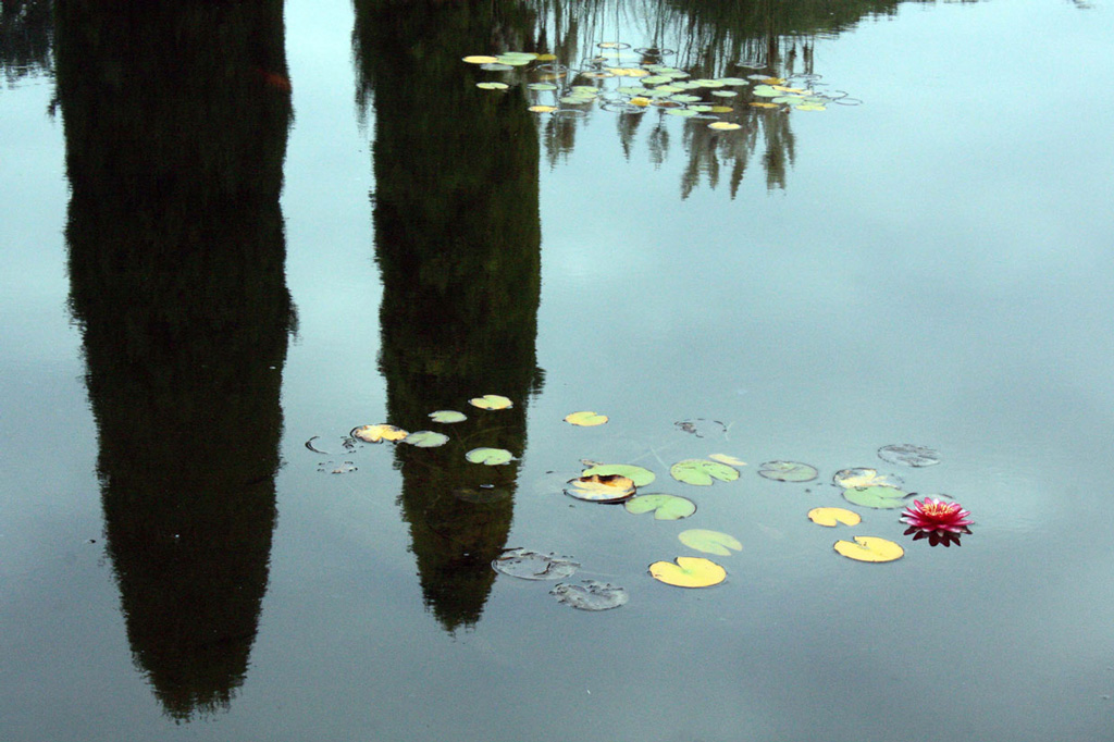 riflessi