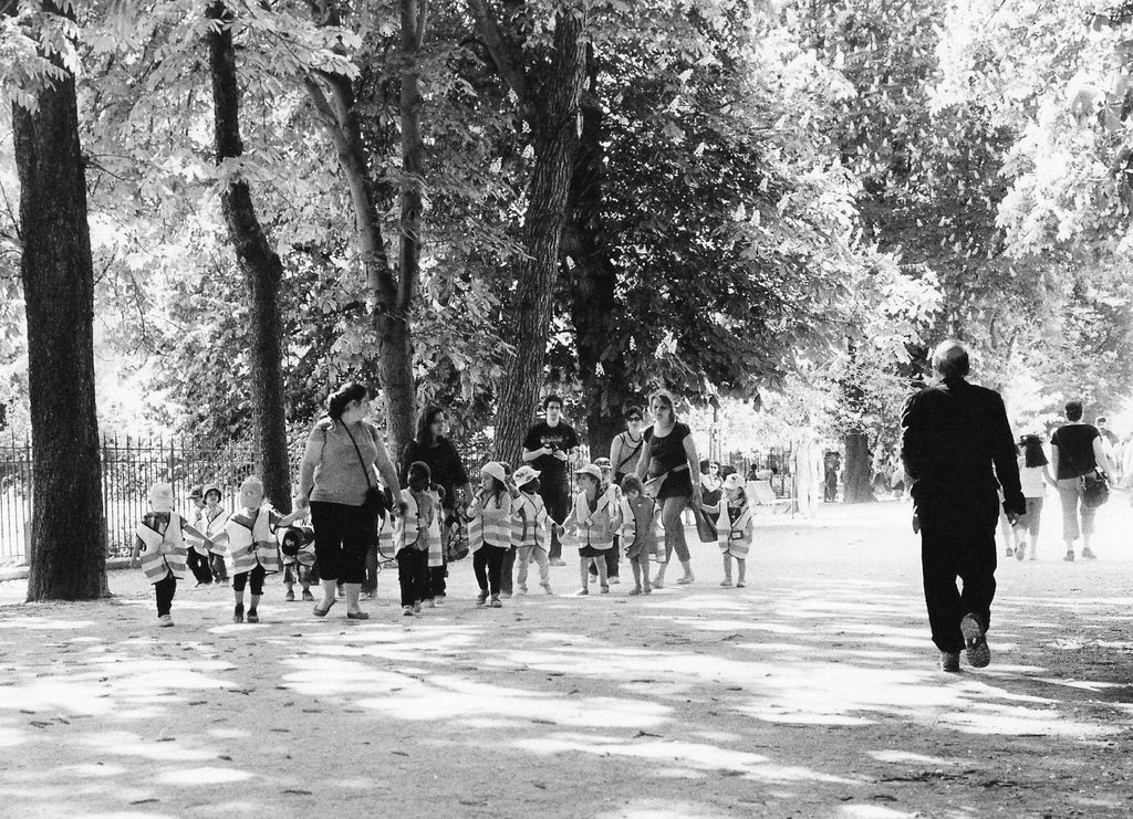 Jardin de plantes