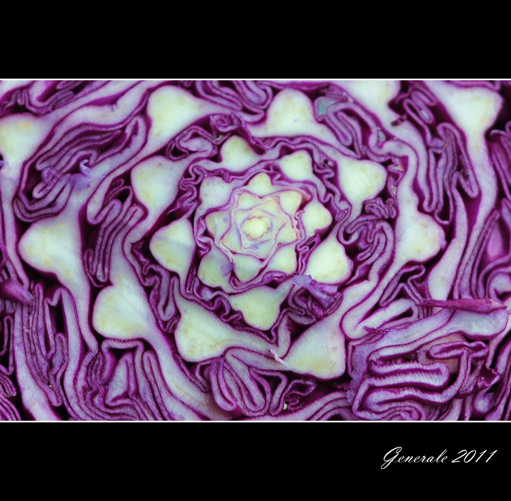 Naturali geometrie