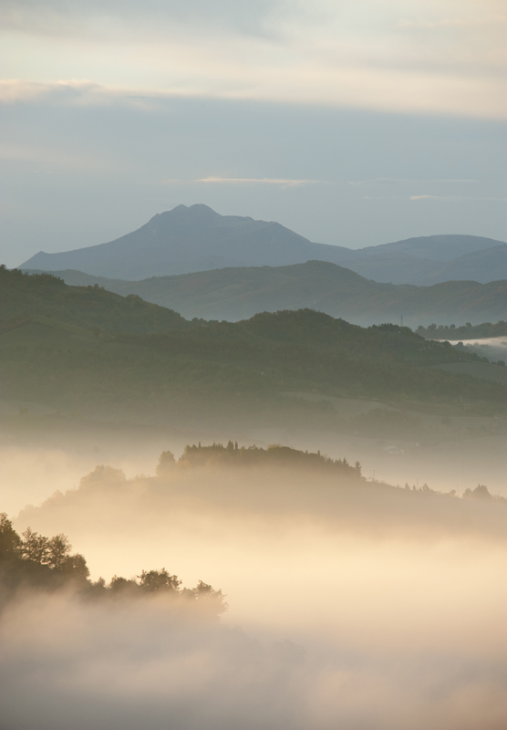 Early morning