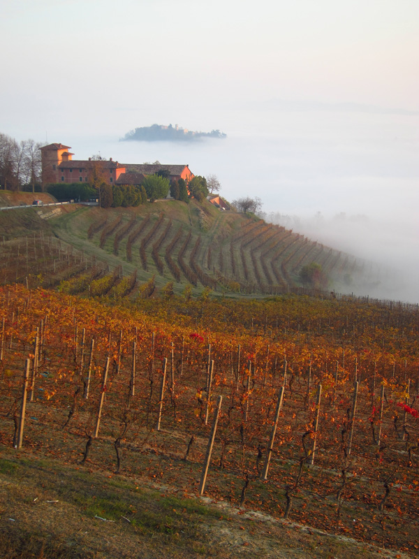 colline di Crea