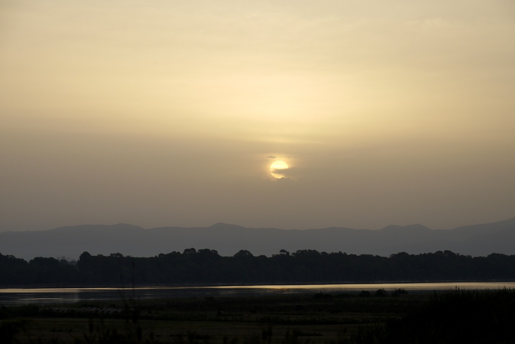 Alba