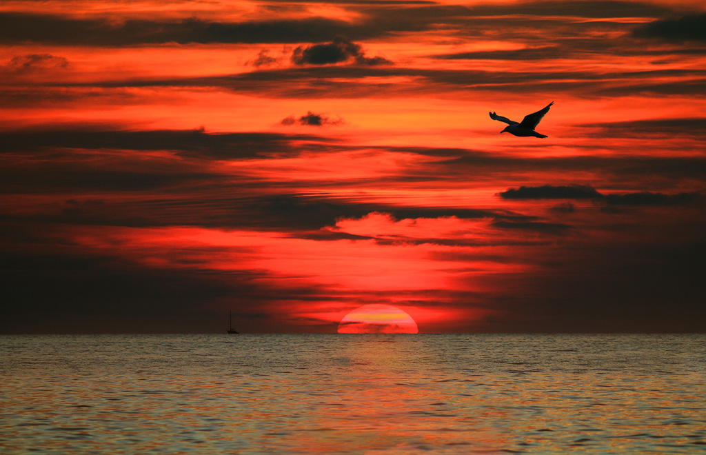 Solitario