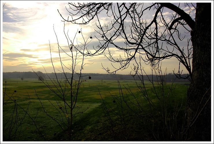 Paesaggio antico