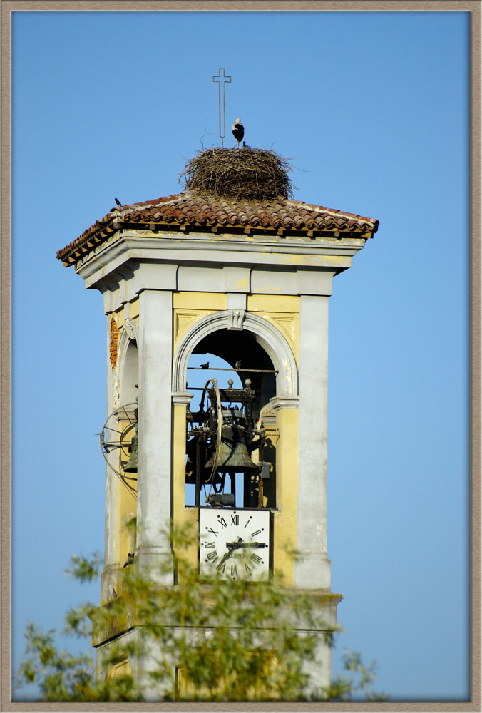 campanile con cicogna
