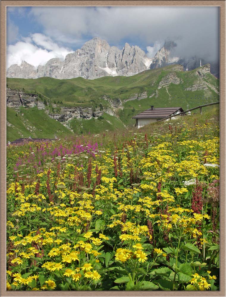 Panorama montano