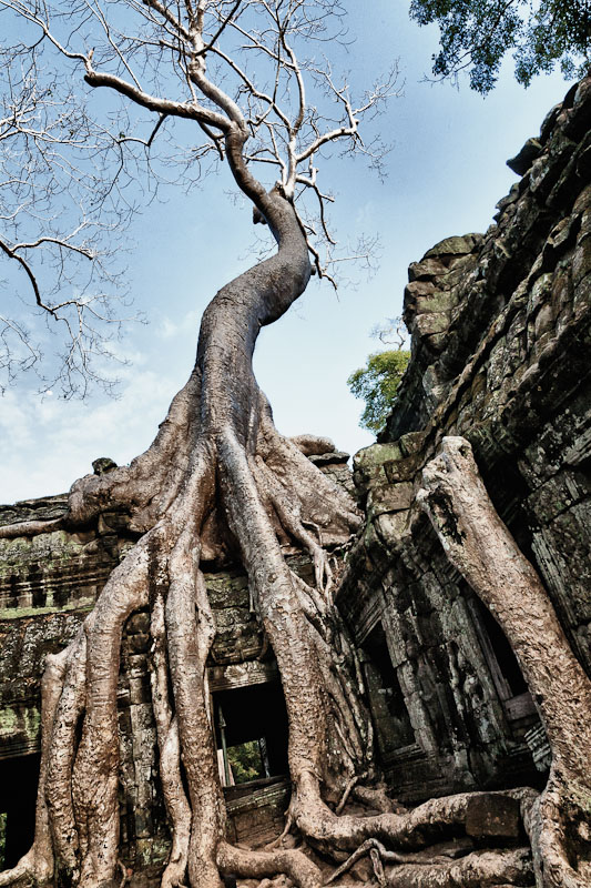 Cambogia 3