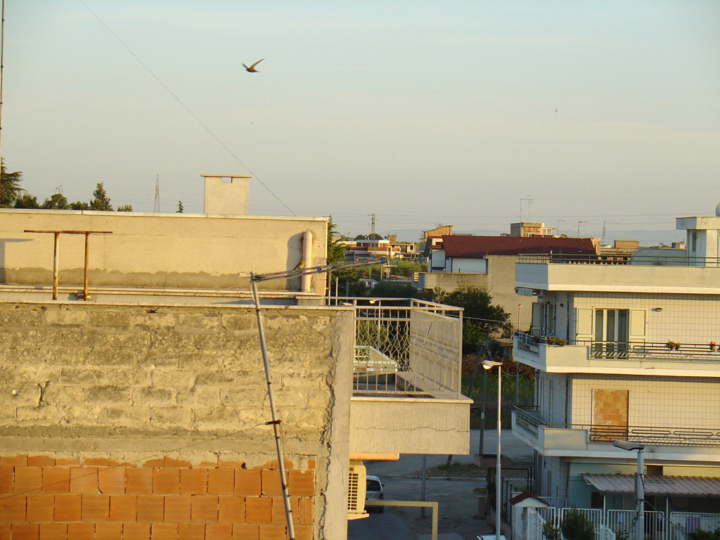 in velocit 2