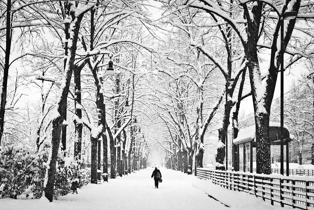 Torino e la neve