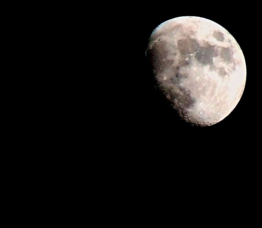 la mia luna