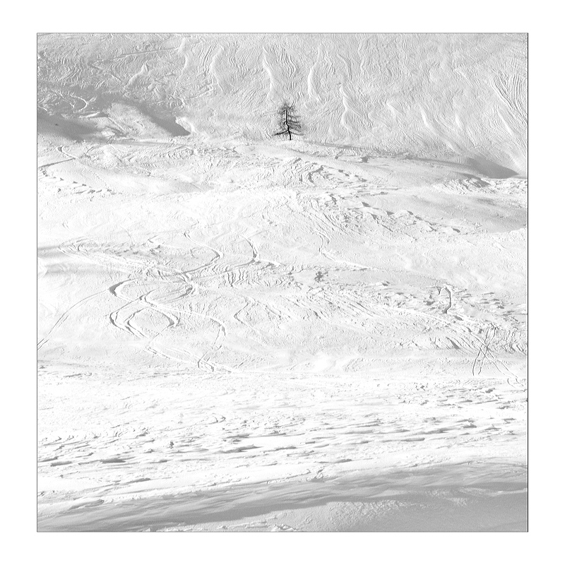 solo, nel bianco..