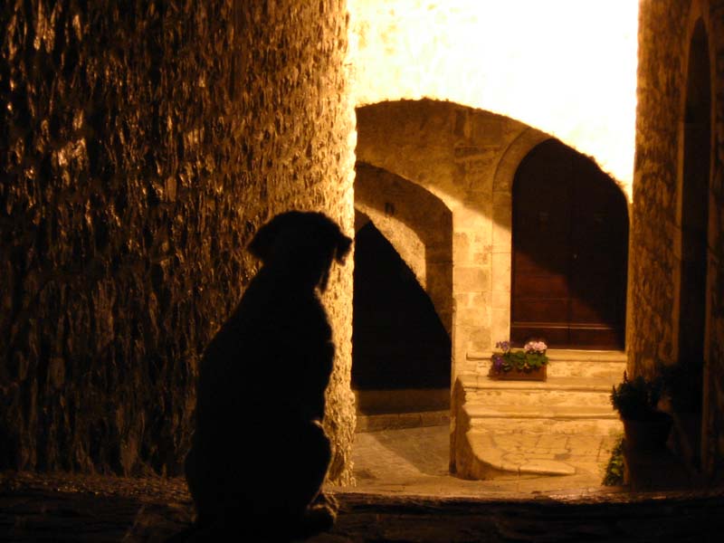 Luce
