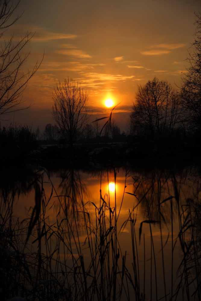 riflesso