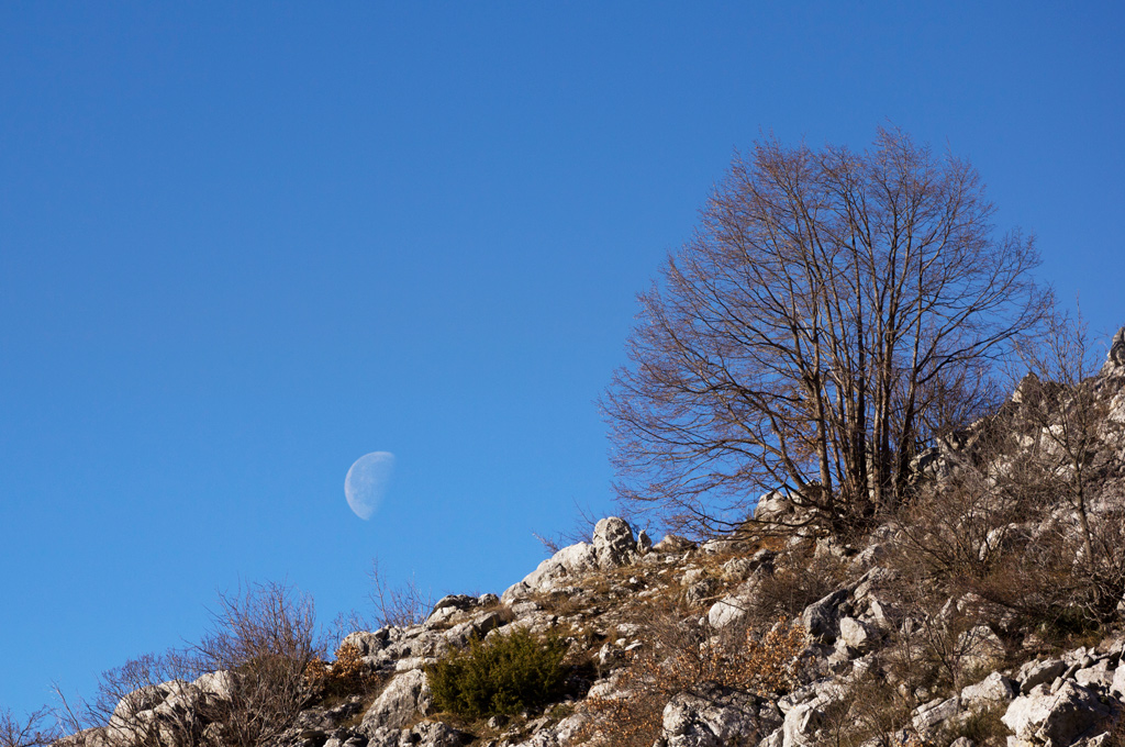 spunta la luna dal monte