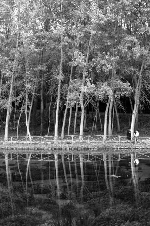 Riflessi