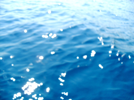 mare