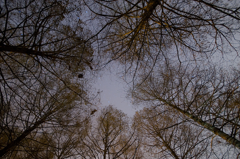 Il cielo sopra Schiranna