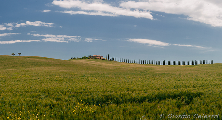 Val d'Orcia