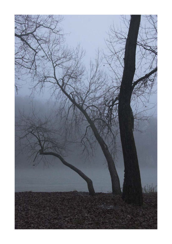 trebbia e nebbia