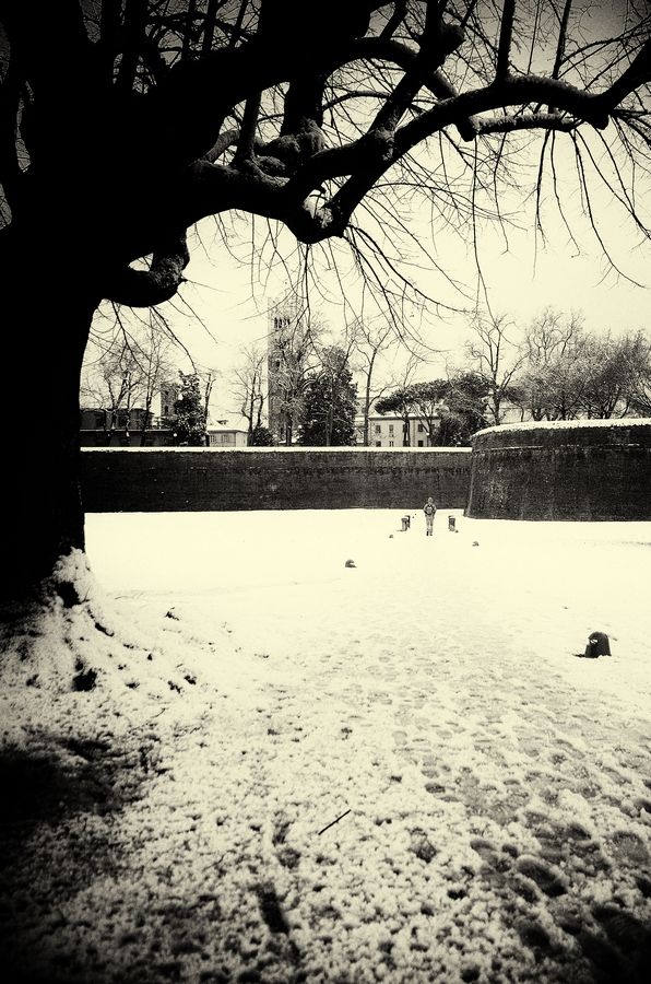 dark snow