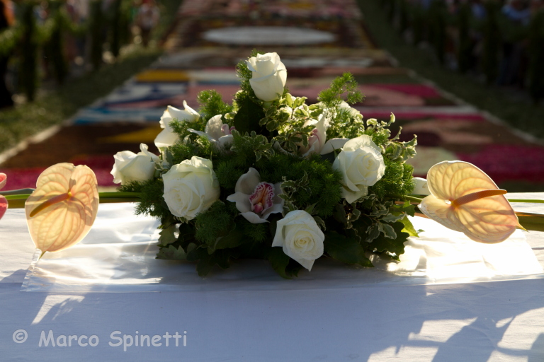 INFIORATA 2012