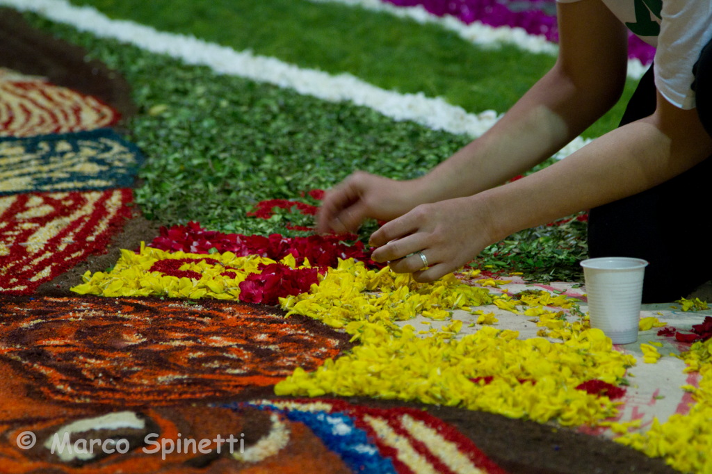 INFIORATA 2012