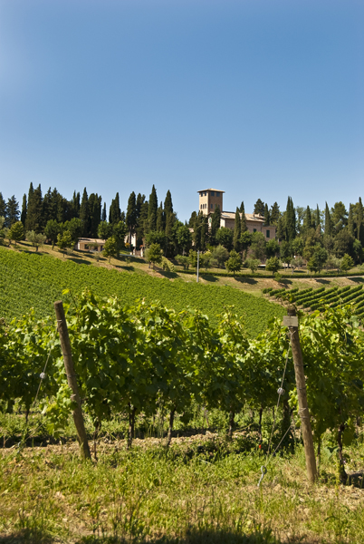 Le belle Marche