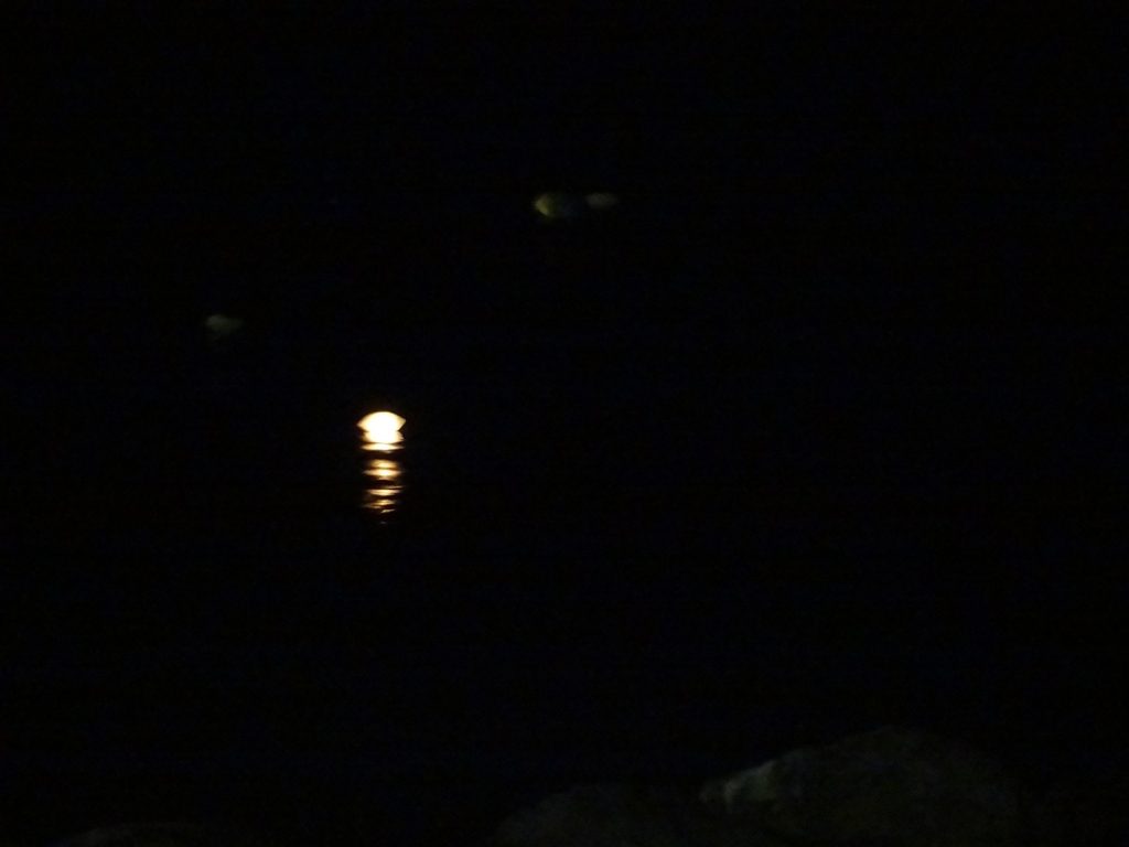 lumino in mare
