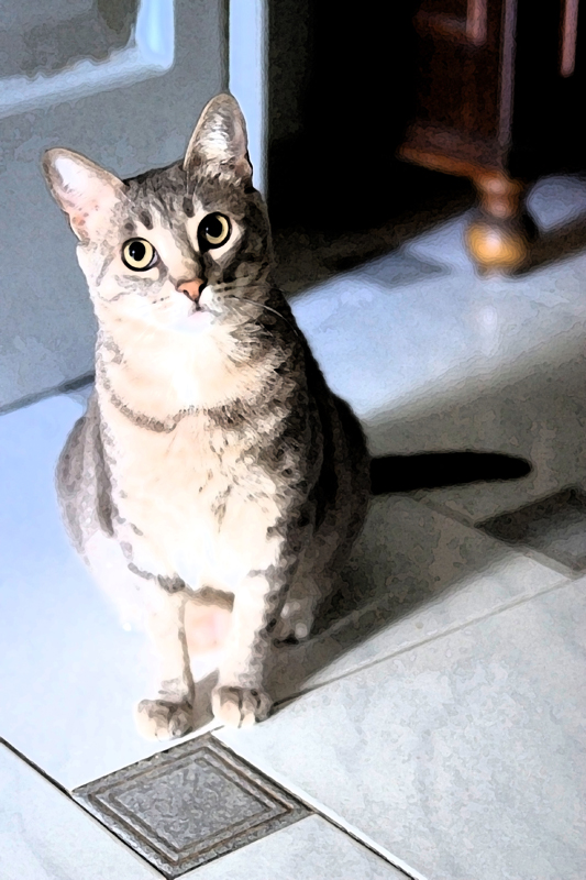 prova di fotoritocco