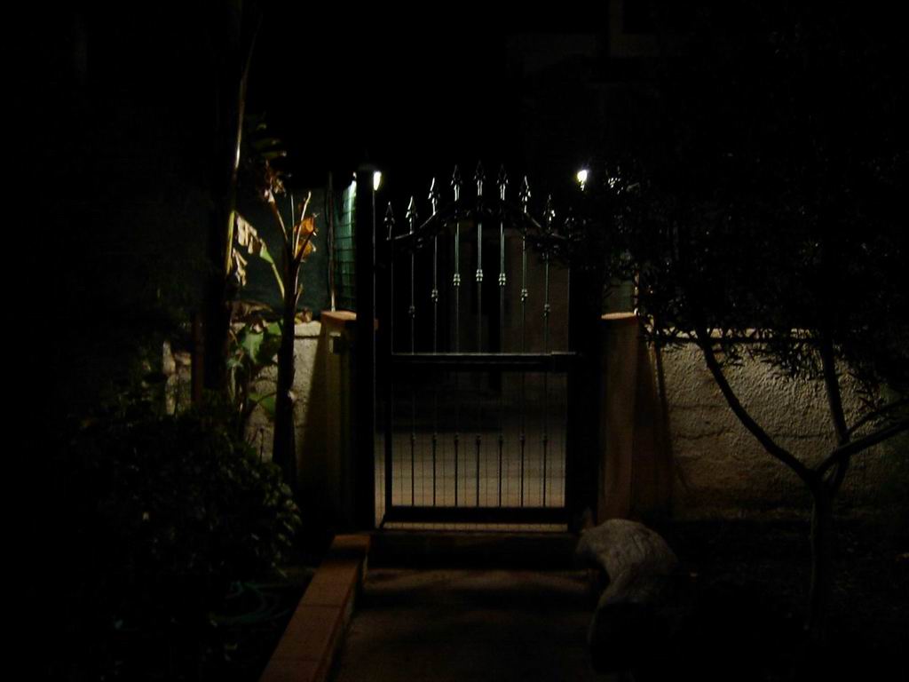Resident Evil