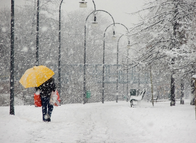 Let it snow -2