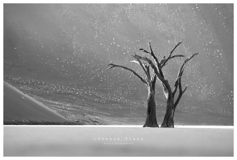 NMB|sossusvlei 5