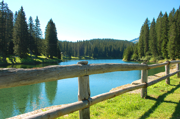 Paesaggio alpino