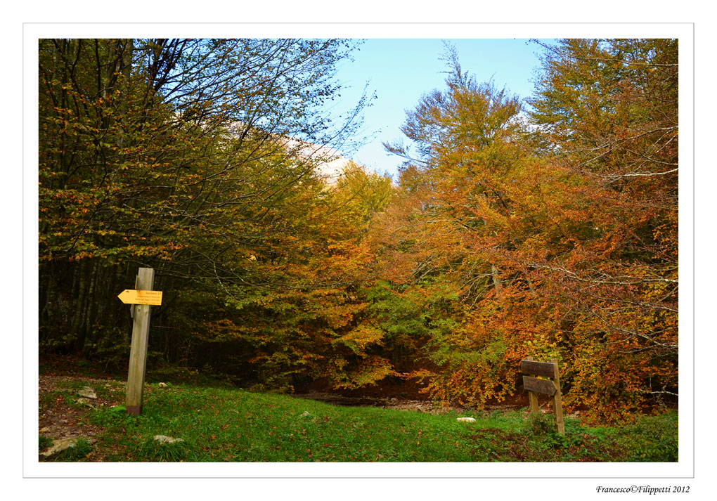 Ogni direzione  buona