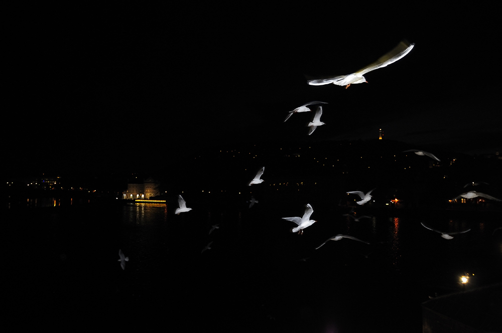 praga24