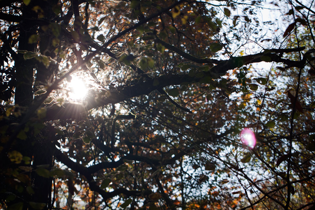 La luce nascosta