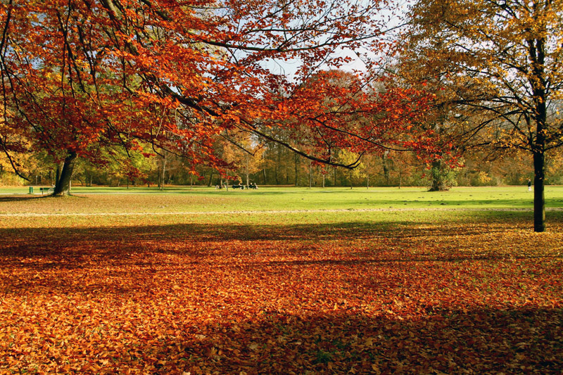 ENGLISCHER GARTEN 2