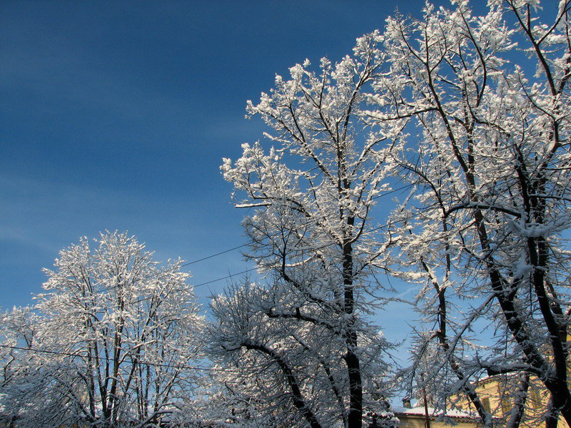 Nel Blu