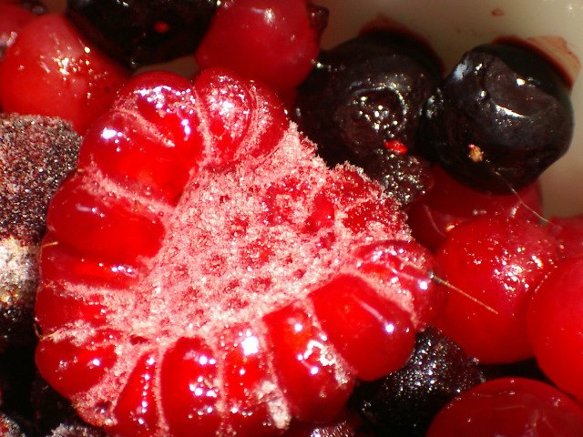Frutti