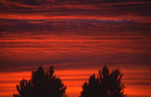 Cielo