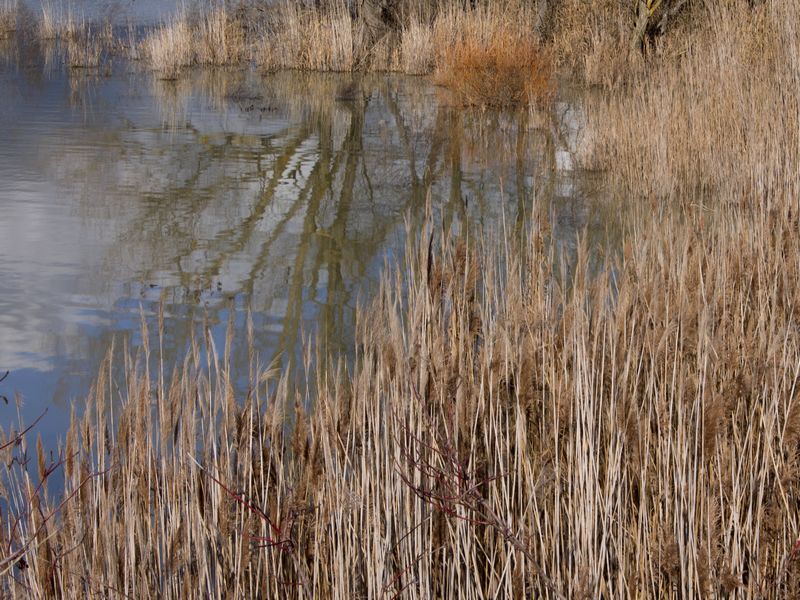 Canneto