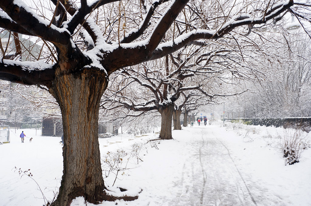 Winter3