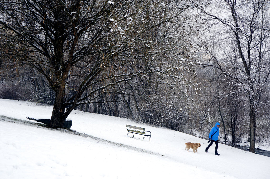 Winter4
